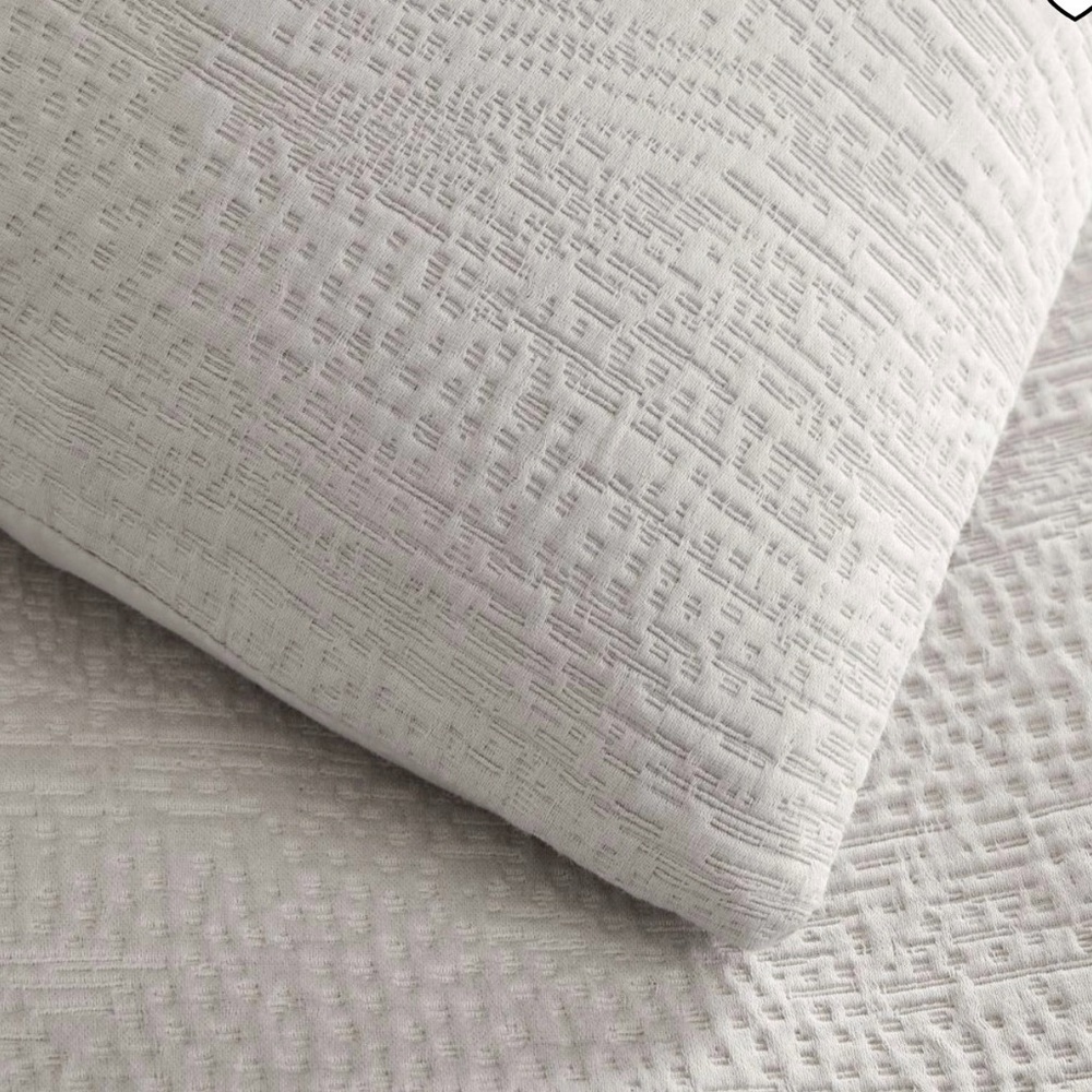 West Elm 1 Euro Sham in Frost Grey